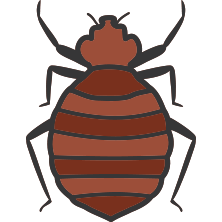 Pest Control In Hampton Roads, Va 